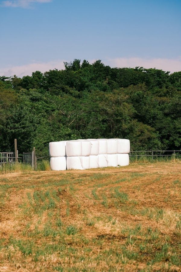 Silage films